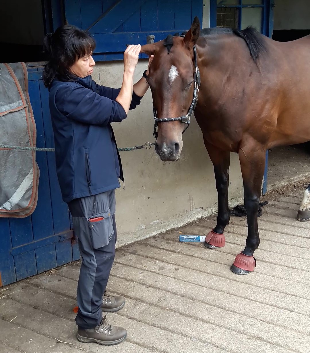 Shiatsu on sensitive points around the ears