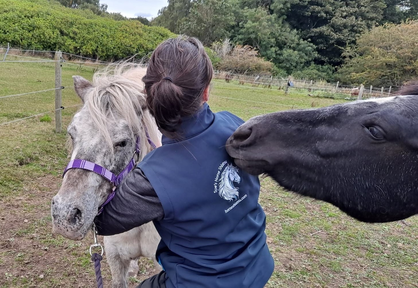 Neck shiatsu. When you work in the field and companions want to get shiatsu too